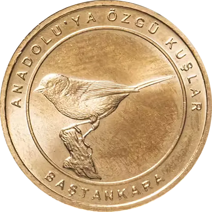 Baştankara